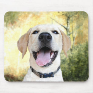 Glücklicher gelber Labrador Mousepad