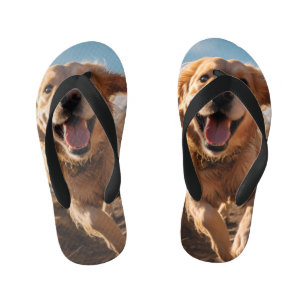 Glücklicher Golden Retriever läuft  Kinderbadesandalen