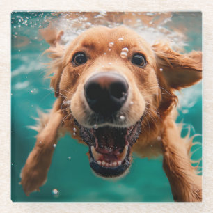 Glücklicher Golden Retriever Schwimmt Unterwasser Glasuntersetzer