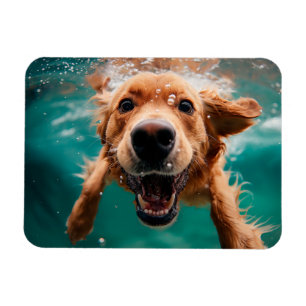Glücklicher Golden Retriever Schwimmt Unterwasser Magnet