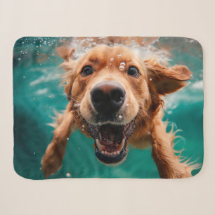 Glücklicher Golden Retriever Schwimmt Unterwasser Sherpadecke
