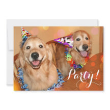 Glücklicher goldener Retriever verfolgt