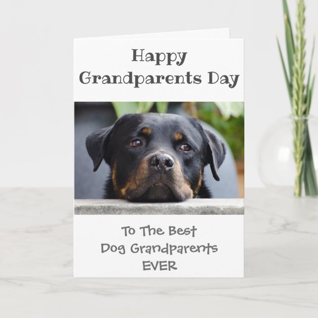 Glücklicher Großeltertag vom Hund Karte (Vorderseite)