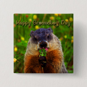 Glücklicher Groundhog Tag Blume essend Button