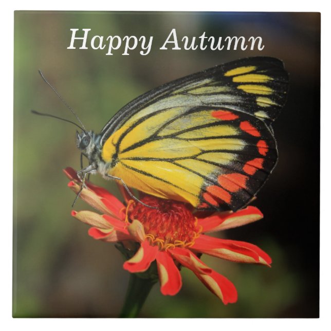 Glücklicher Herbst-Schmetterling Fliese (Vorderseite)