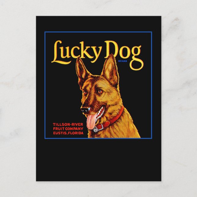 Glücklicher Hund Postkarte (Vorderseite)