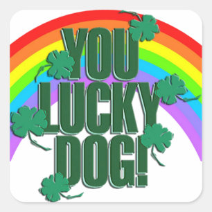 Glücklicher Hund und Regenbogen St. Patrick's Day Quadratischer Aufkleber