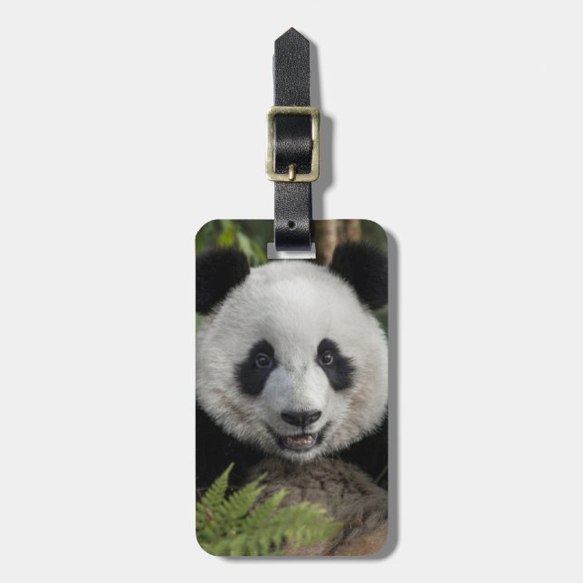 Glücklicher junger Panda, China Gepäckanhänger (Vorderseite vertikal)