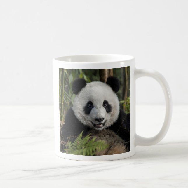 Glücklicher junger Panda, China Kaffeetasse (Rechts)