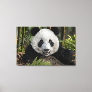 Glücklicher junger Panda, China Leinwanddruck