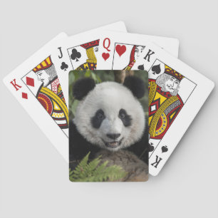 Glücklicher junger Panda, China Spielkarten
