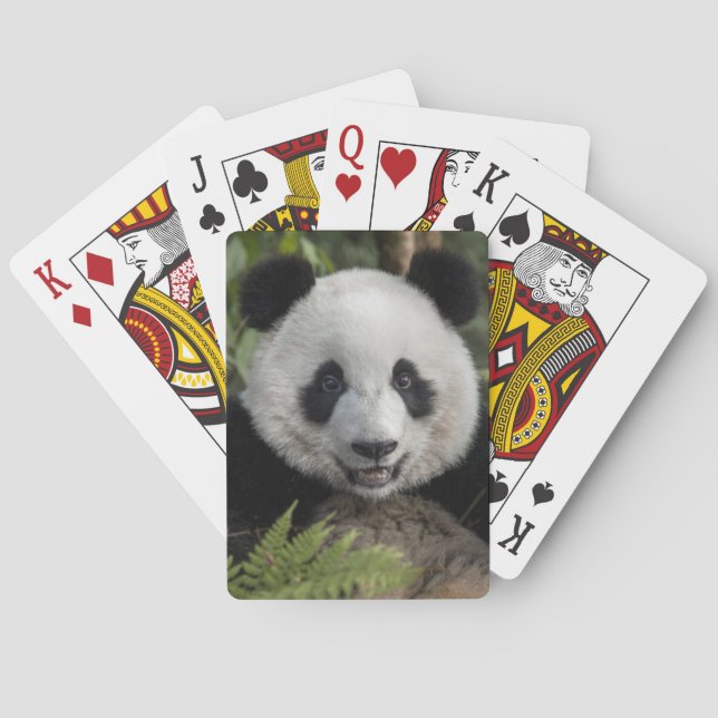 Glücklicher junger Panda, China Spielkarten (Rückseite)