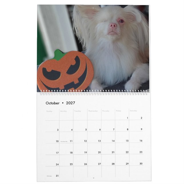 Glücklicher Kalender 2020 (Okt 2027)
