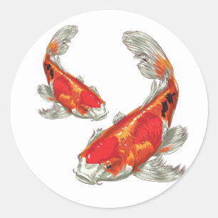 Glücklicher Koi Runder Aufkleber