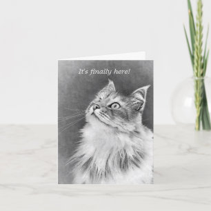 Glücklicher Kuchentag! Karte