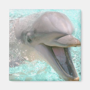 Glücklicher lächelnder Delfin Magnet