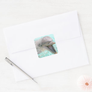 Glücklicher lächelnder Delfin Quadratischer Aufkleber
