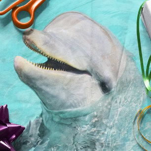 Glücklicher lächelnder Delfin Seidenpapier