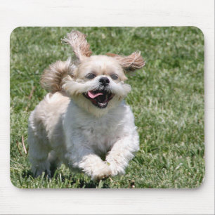 Glücklicher laufender Shih Tzu Mousepad