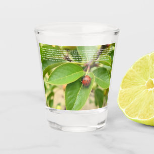 Glücklicher Marienkäfer  Schnapsglas
