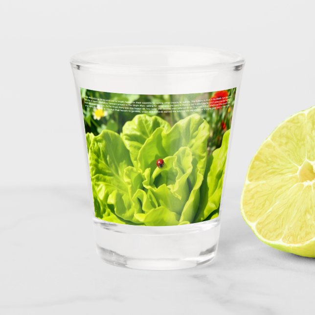 Glücklicher Marienkäfer  Schnapsglas (Vorderseite)