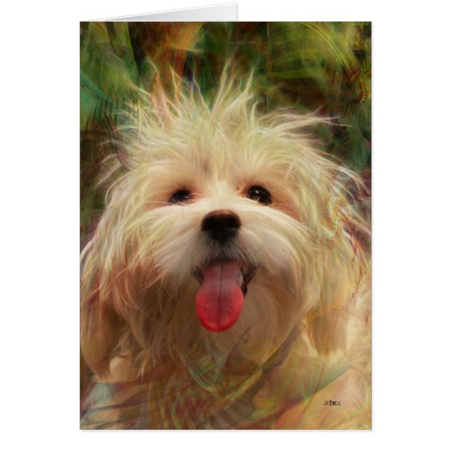 Glücklicher Mensch (Vorne)