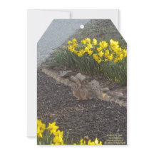 Glücklicher Muttertag 2025 von RoseWrites Flat Car