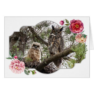 Glücklicher Muttertag, Eulen