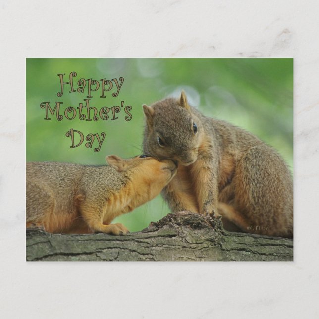 Glücklicher Muttertag - Mama und Baby Eichhörnchen Postkarte (Vorderseite)
