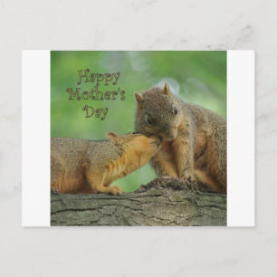 Glücklicher Muttertag - Mama und Baby Eichhörnchen Postkarte