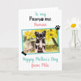 Glücklicher Muttertag vom Hund bis zur pawsome Mam Karte