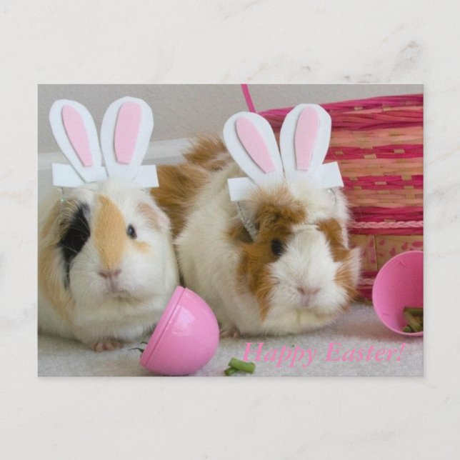 glücklicher Oster Feiertagspostkarte (Vorderseite)
