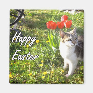 Glücklicher Ostern-Katzenmagnet Magnet