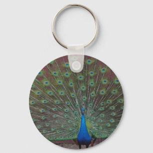 glücklicher Pfau Schlüsselanhänger