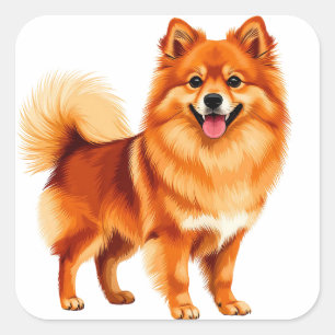 Glücklicher Pomeranian-Hund Quadratischer Aufkleber