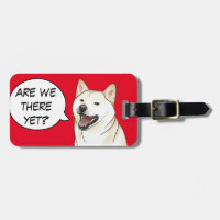 Glücklicher sahniger Shiba Inu