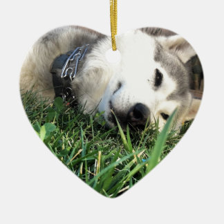Glücklicher Schlittenhund Keramikornament