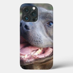 Glücklicher Staffordshire Bull Terrier, Case-Mate iPhone Hülle