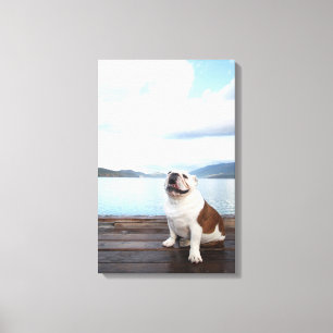 glücklicher Stierhund, der auf Plattform nahe See Leinwanddruck