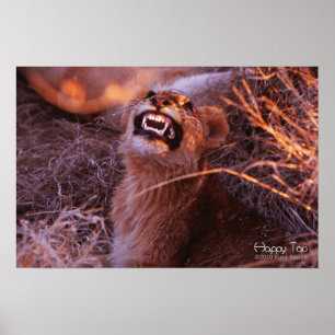 Glücklicher Tau, Lächelnder Löwenjunges Poster