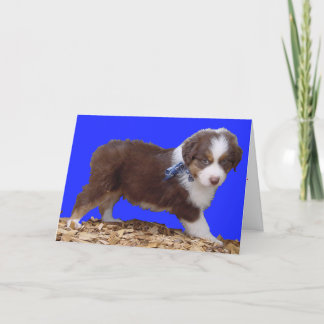 Glücklicher Valentinstag-Australier Feiertagskarte