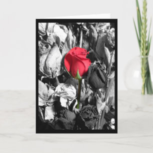 Glücklicher Valentinstag Feiertagskarte