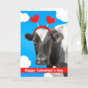 Glücklicher Valentinstag für jeden Niedlichen Kuh- Feiertagskarte