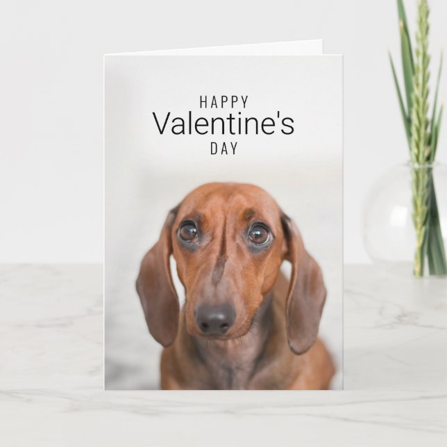 Glücklicher Valentinstag| Hundefläche| Name hinzuf Dankeskarte (Vorderseite)
