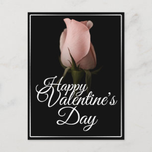 Glücklicher Valentinstag mit rosa Rosa Feiertagspostkarte