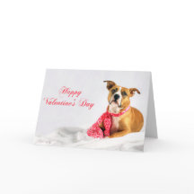 Glücklicher Valentinstag Pitbull Welpe