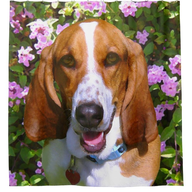 Glückliches Basset Hound Duschvorhang (Vorderseite)