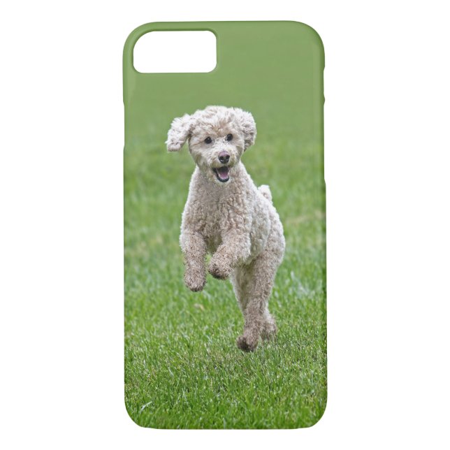 Glückliches Bichon Pudel-Hündchen Case-Mate iPhone Hülle (Rückseite)
