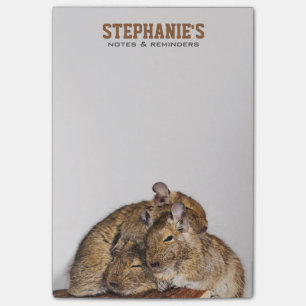 Glückliches Degu in einem Degu Stapel Post-it Klebezettel