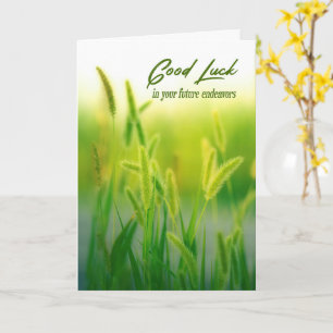 Glückliches Grünes Sommergras Karte
